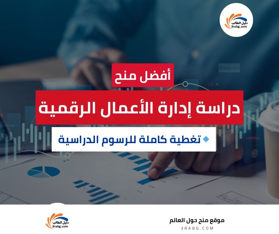 أفضل منح دراسة إدارة الأعمال الرقمية