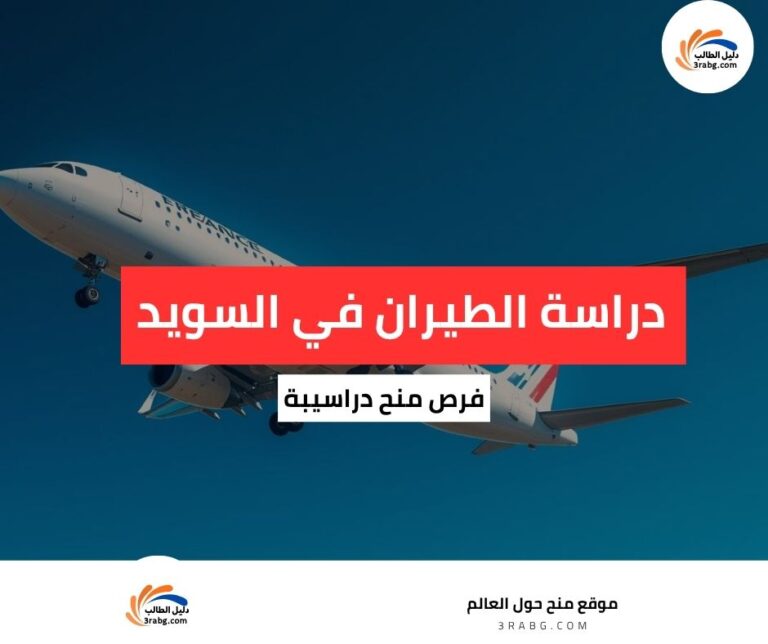 دراسة الطيران في السويد