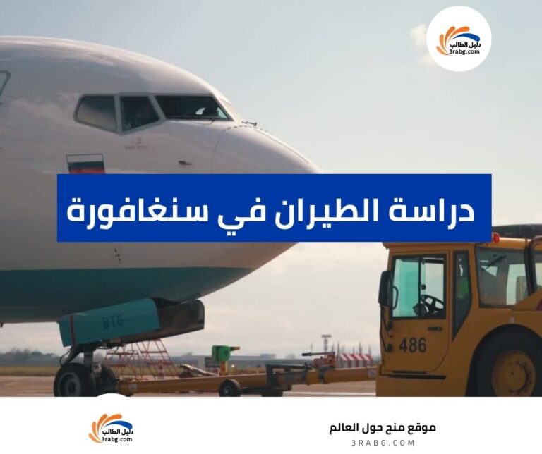 دراسة الطيران في سنغافورة