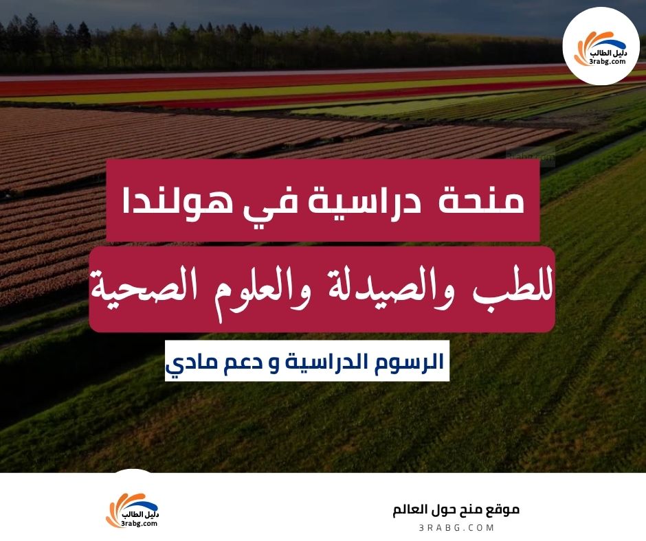 منحة برنامج الدراسات الهولندية