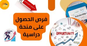 فرص الحصول على منحة دراسية