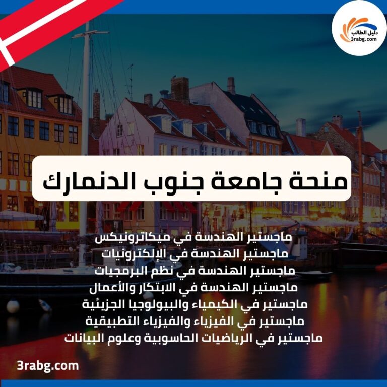 منحة جامعة جنوب الدنمارك