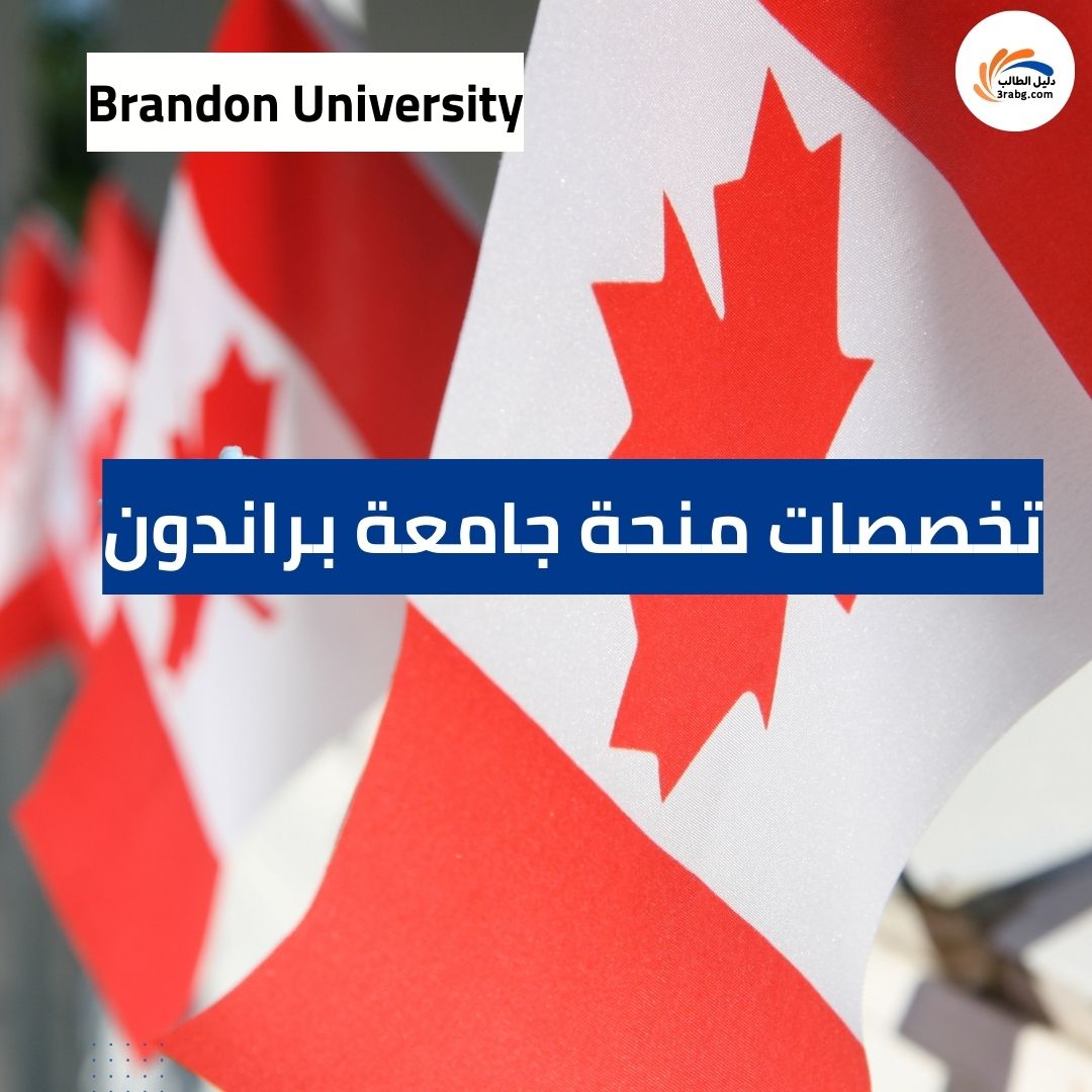 تخصصات منحة جامعة براندون