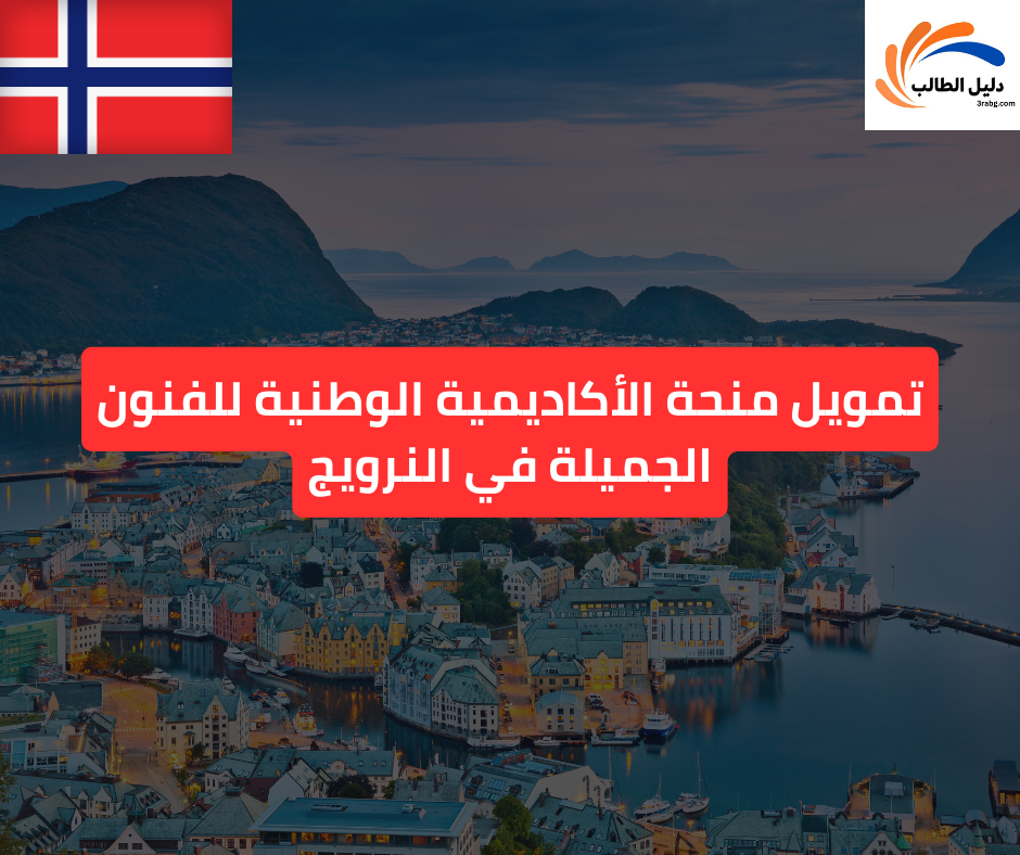 تمويل منحة الأكاديمية الوطنية للفنون الجميلة في النرويج