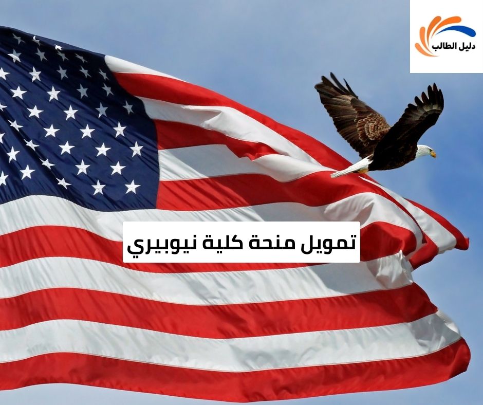 تمويل منحة كلية نيوبيري