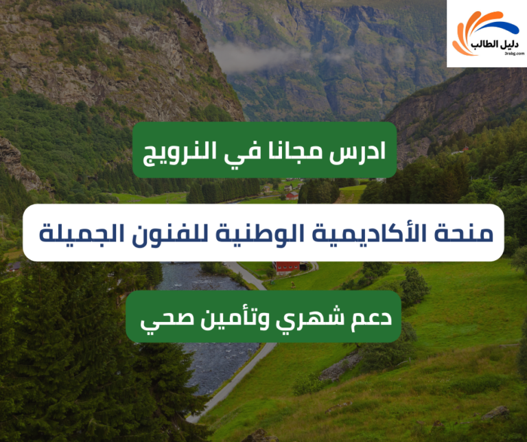 منحة الأكاديمية الوطنية للفنون الجميلة في النرويج