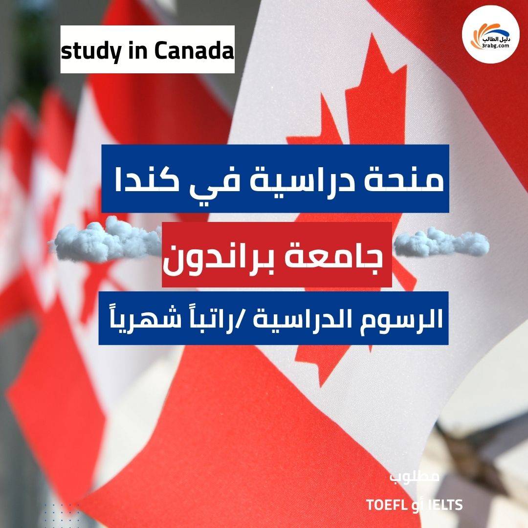 منحة جامعة براندون