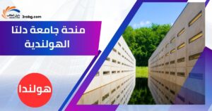 منحة جامعة دلتا الهولندية