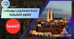 منحة جامعة وينر نيوستادت للعلوم التطبيقية