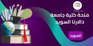 منحة كلية جامعة دالارنا السويد