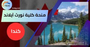 منحة كلية نورث آيلاند