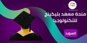 منحة معهد بليكينج للتكنولوجيا