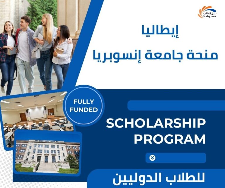 دليل منحة جامعة إنسوبريا في إيطاليا للطلاب الدوليين