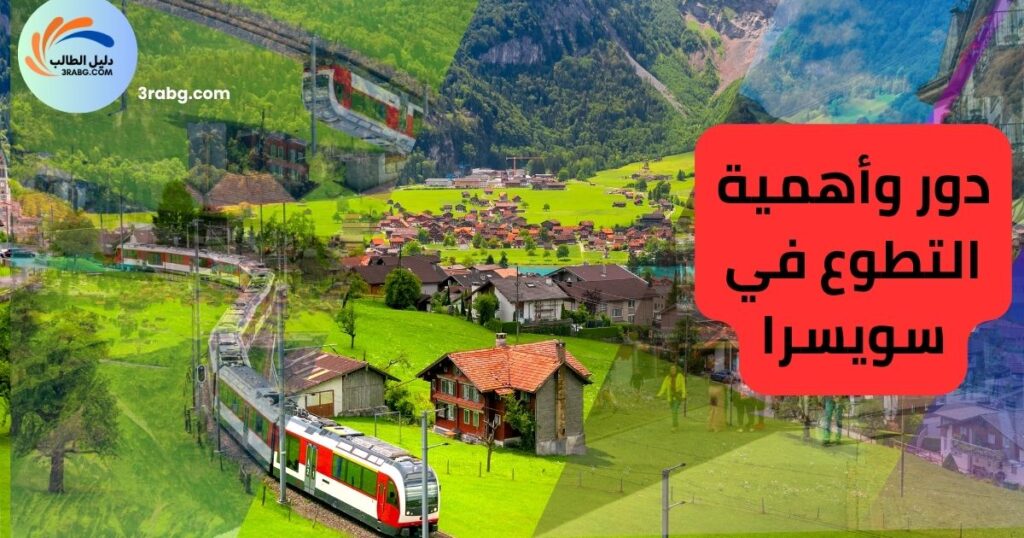 دور وأهمية التطوع في سويسرا