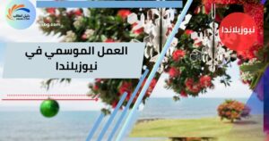 فرص العمل الموسمي في نيوزيلندا لعام 2025: دليل شامل لتحقيق الاستفادة المثلى