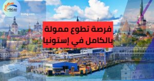 فرصة تطوع ممولة بالكامل في إستونيا: تأشيرة شنغن راتب شهري وإقامة مجانية