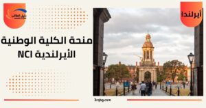 منحة الكلية الوطنية الأيرلندية NCI