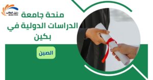 منحة جامعة الدراسات الدولية في بكين