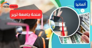 منحة جامعة ترير