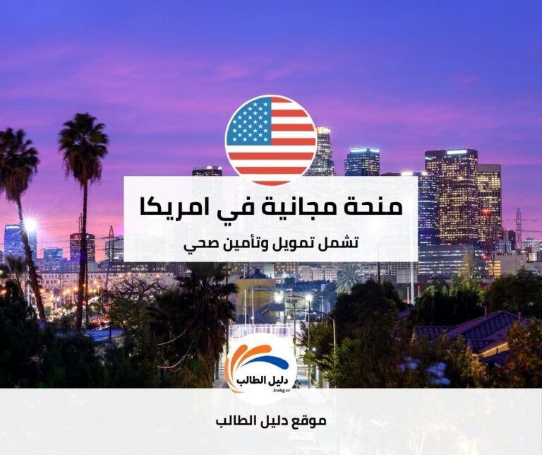 منحة جامعة تكساس في إل باسو