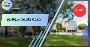 منحة جامعة سولابور