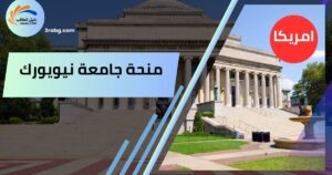 منحة جامعة نيويورك
