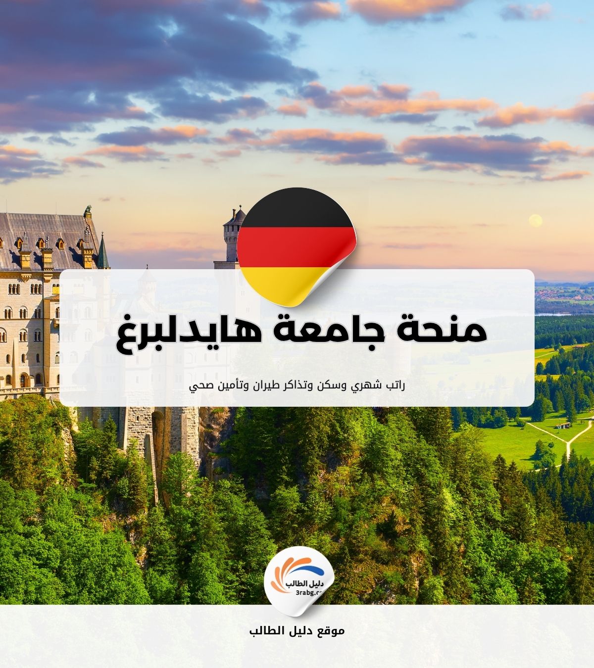 منحة جامعة هايدلبرغ للتعليم