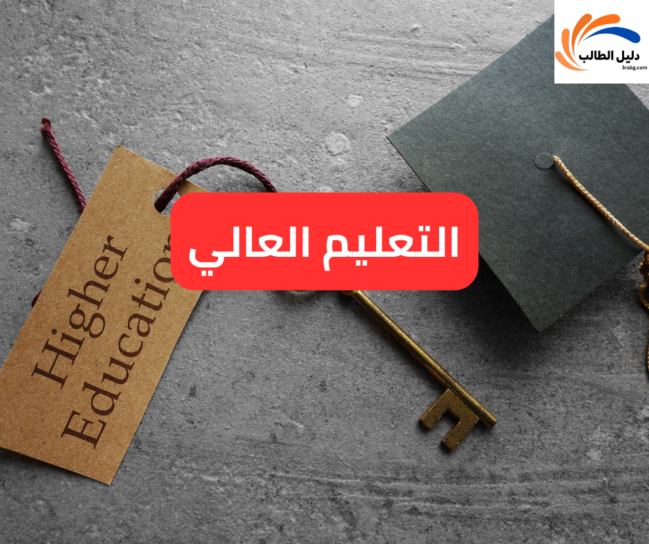 التعليم العالي