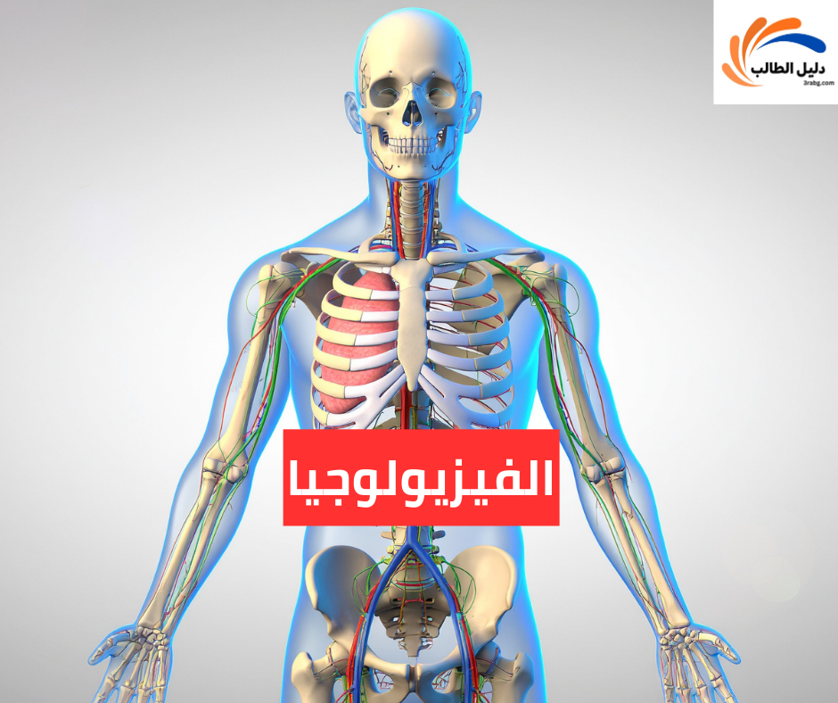 الفيزيولوجيا