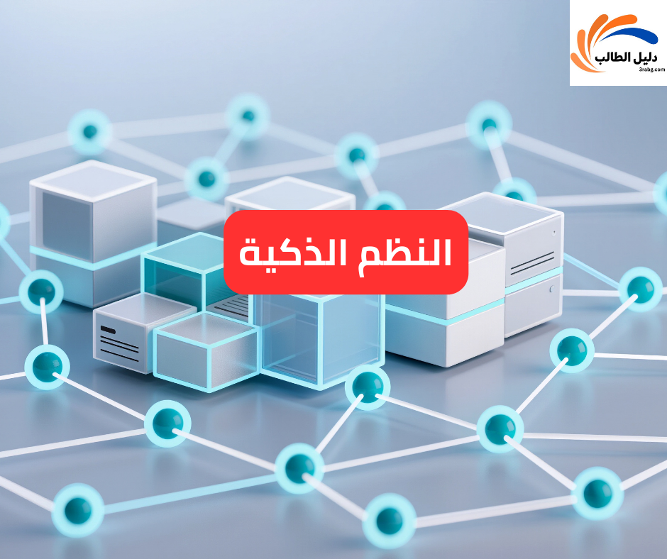 النظم الذكية