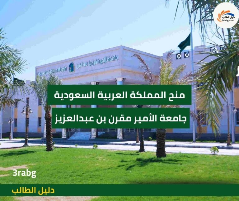 دليل منحة جامعة الأمير مقرن بن عبدالعزيز في المملكة العربية السعودية