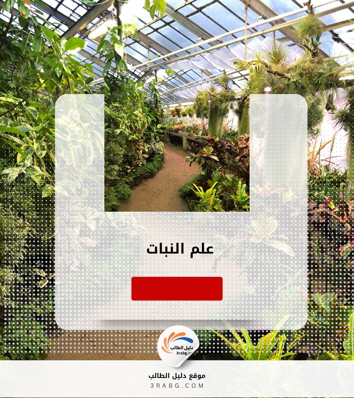 علم النبات