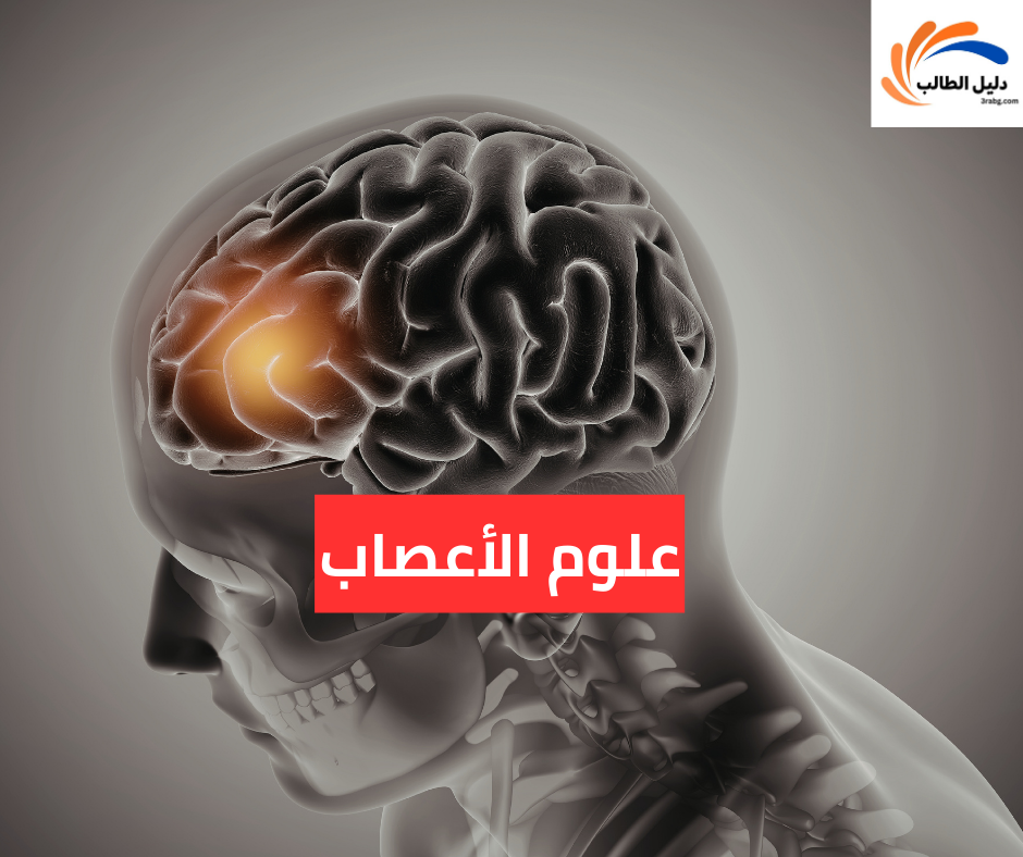 علوم الأعصاب