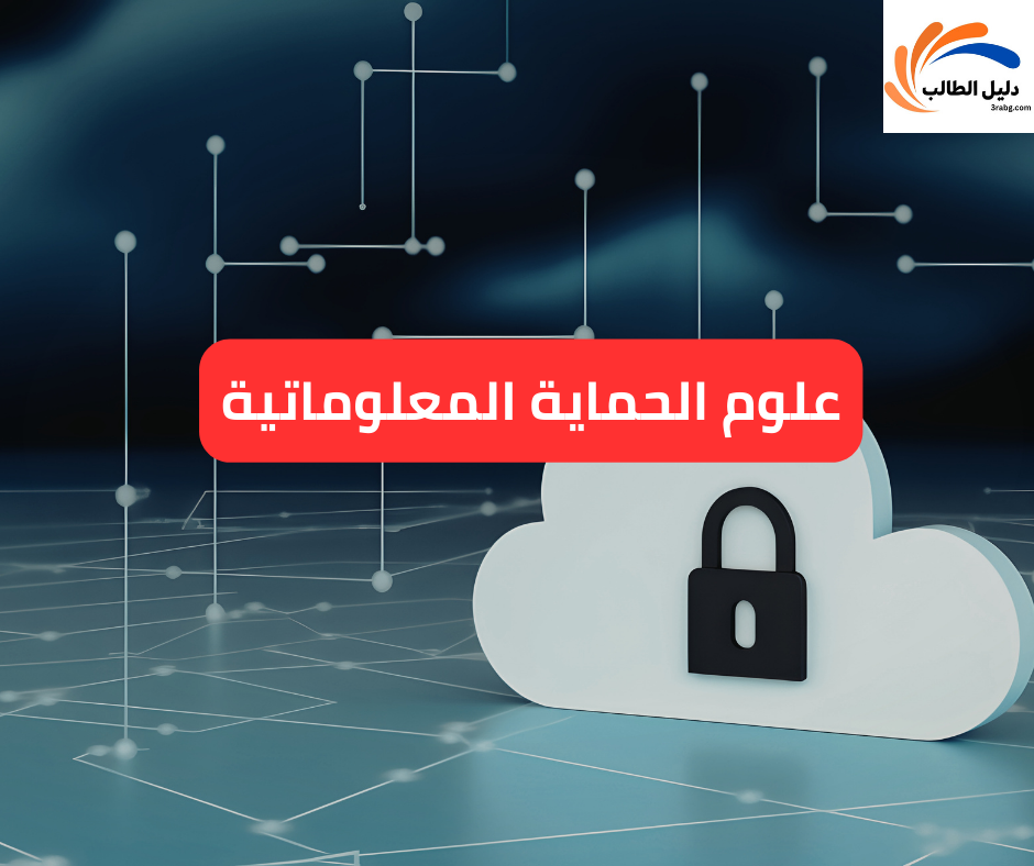 علوم الحماية المعلوماتية