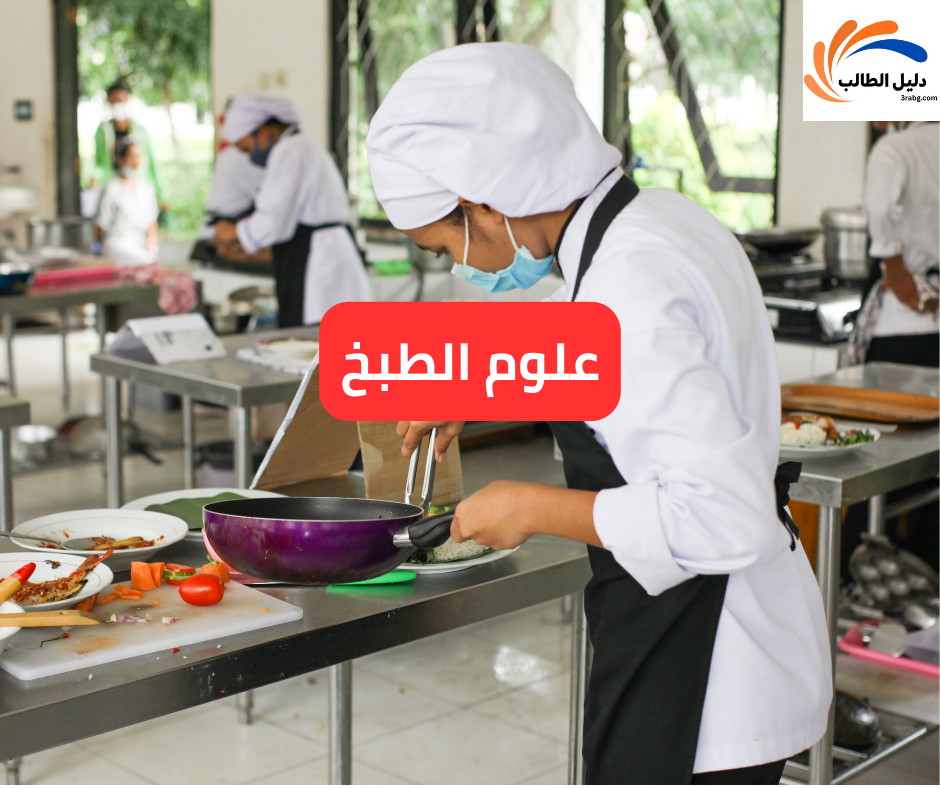 علوم الطبخ