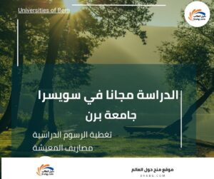 منحة جامعة برن