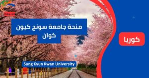 منحة جامعة سونج كيون كوان