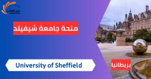 منحة جامعة شيفيلد