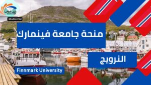 منحة جامعة فينمارك