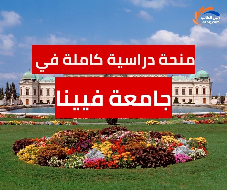 منحة جامعة فيينا كل ما تريد معرفته للطلاب الدوليين