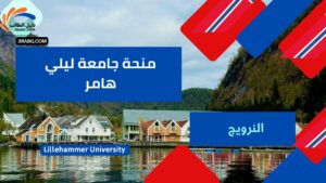 منحة جامعة ليلي هامر