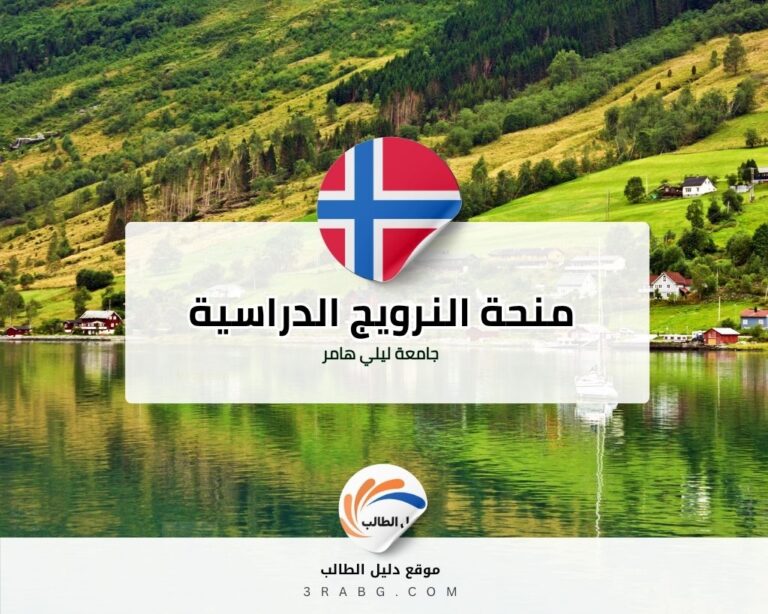 منحة جامعة ليلي هامر في النرويج