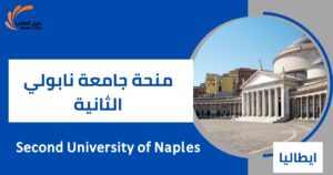 منحة جامعة نابولي الثانية