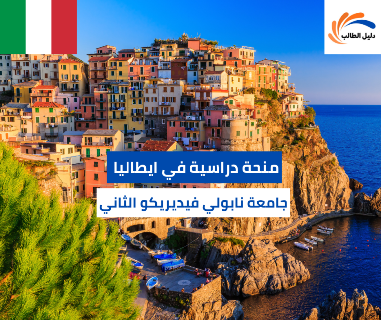 تخصصات منحة جامعة نابولي فيديريكو الثاني