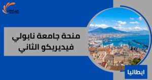 منحة جامعة نابولي فيديريكو الثاني