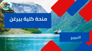 منحة كلية بيرغن