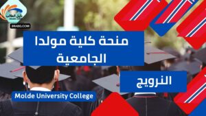 منحة كلية مولدا الجامعية