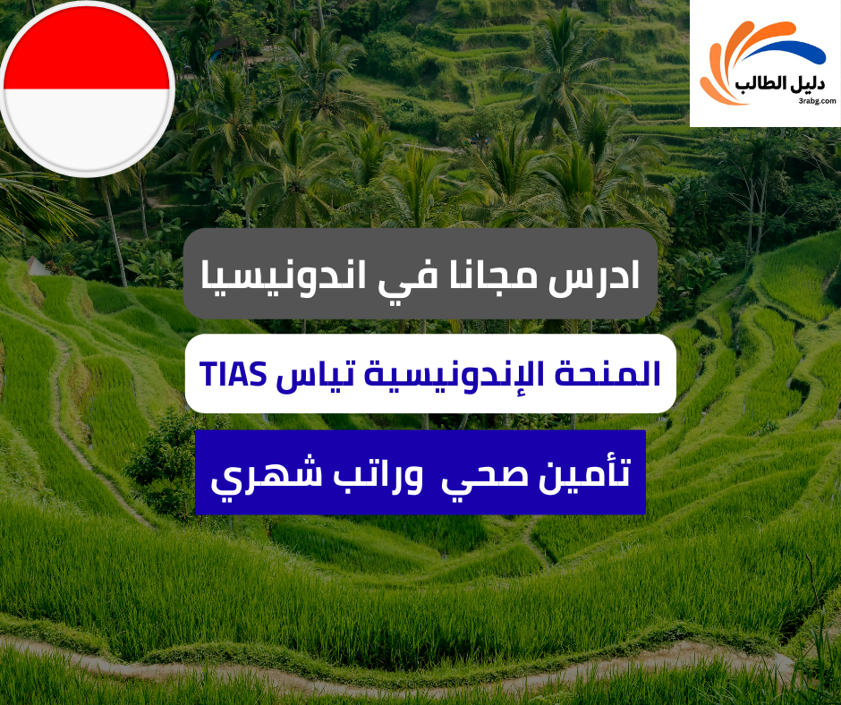 المنحة الإندونيسية تياس TIAS
