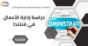 دراسة إدارة الأعمال في فنلندا