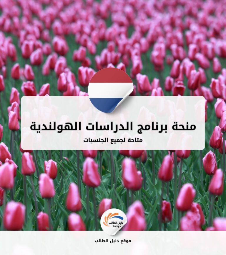 منحة برنامج الدراسات الهولندية NL
